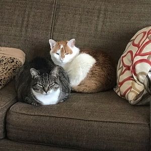 Meet your Posher, Cathy